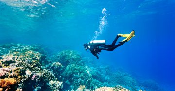 Scuba Diver Life Insurance