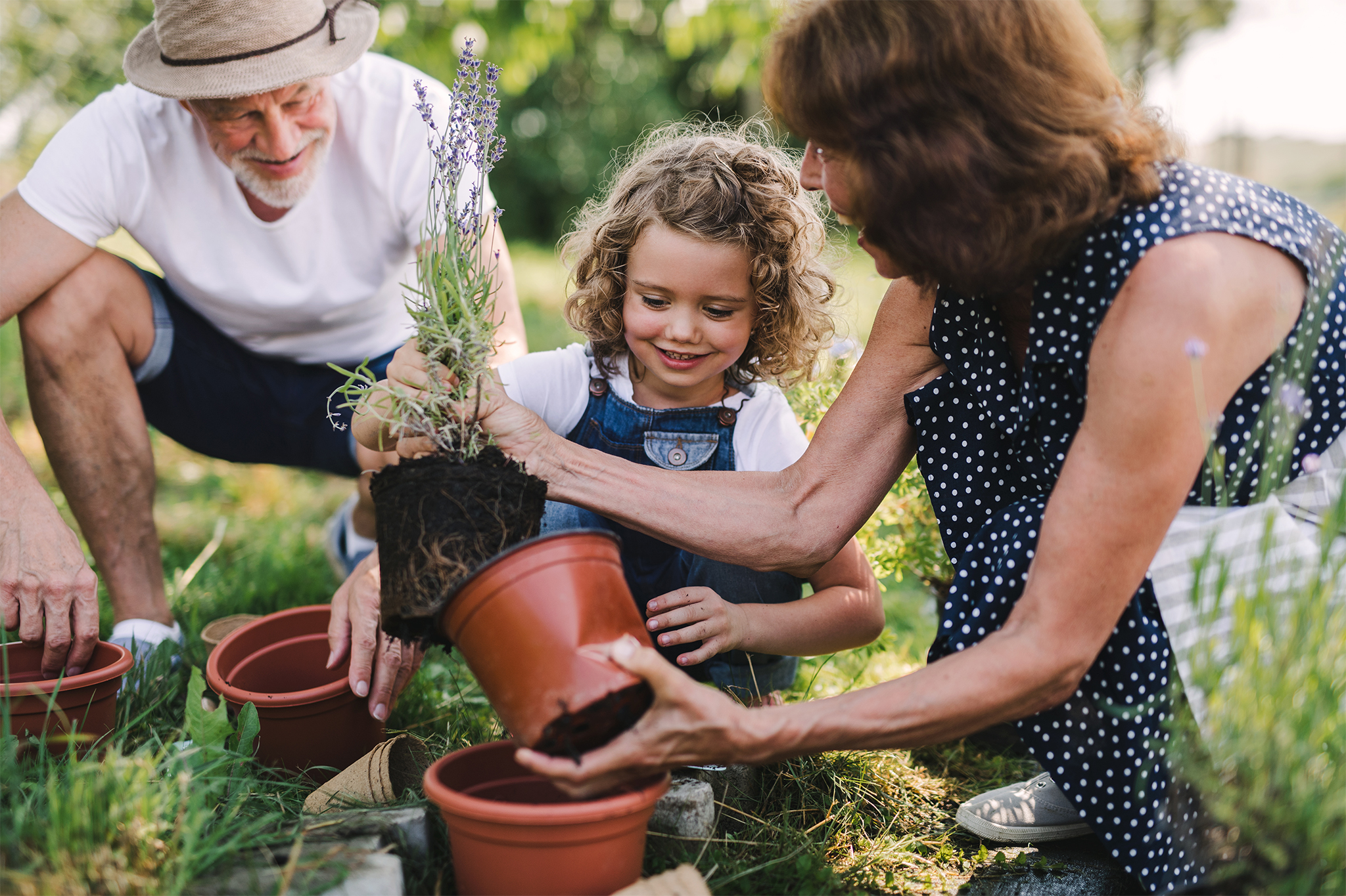 Passing down the family farm