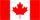 Canadian flag which features a rectangle with 2 verticle red strips and a square and a red maple leaf in the middle.